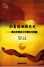 扛着团旗跟党走  高校共青团工作理论与实践