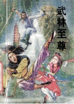 武林至尊  上