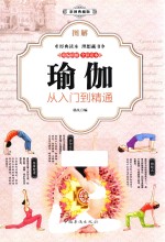 图解瑜伽  从入门到精通  彩图典藏版