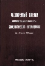 РАСШИРЕННЫЙ ПЛЕНУМ ИСПОЛНИТЕЛЬНОГО КОМИТЕТА КОММУНИСТИЧЕСКОГО ИНТЕРНАЦИОНАЛА