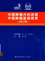 中国肿瘤内科进展中国肿瘤医师教育  2017年