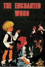 THE ENCHANTED WOOD