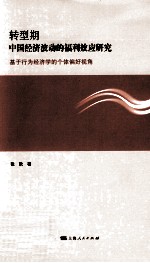 转型期中国经济波动的福利效应研究  基于行为经济学的个体偏好视角