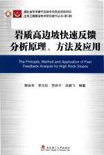岩质高边坡快速反馈分析原理、方法及应用