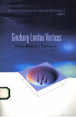 GINZBURG-LANDAU VORTICES