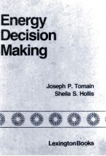 Energy Decision Making