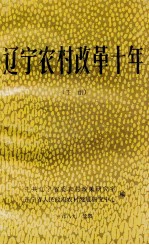 辽宁农村改革十年  党的十一届三中全会十周年纪念文集  下