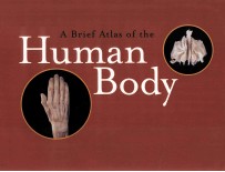 A brief atlas of the human body