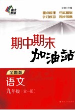 期中期末加油站  语文  九年级  全1册  全国版