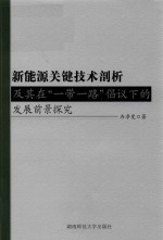 新能源关键技术剖析及其在“一带一路”倡议下的发展前景探究