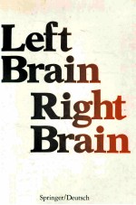 Left Brain Right Brain