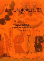 古代历史文化研究辑刊  十七编  第9册  近世社会的形成——宋代的士族与民间信仰（下）