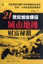 21世纪创业捷径  城市地摊财富秘籍