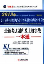 2013安徽省会计从业资格无纸化考试系列丛书  最新考试题库及上机实战一本通  会计基础+财经法规与会计职业道德+初级会计点算法  最新版