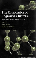 The Economics of Regional Clusters:Networks