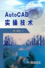 AutoCAD实操技术