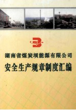 湖南省煤炭坝能源有限公司