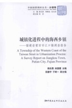 城镇化进程中的海西乡镇  福建省莆田市江口镇调查报告