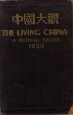 中国大观图画年鉴  1930