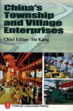 China's Township and Village Enterprises