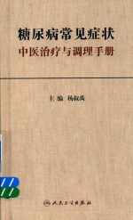 糖尿病常见症状中医治疗与调理手册