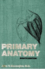 Primary anatomy eighth edition.