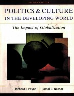 POLITICS AND CULTURE IN THE DEVELOPING WORLD:THE IMPACT OF GLOBALIZATION SECOND EDITION