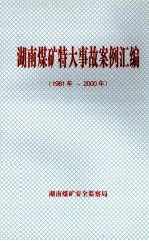 湖南煤矿特大事故案例汇编  （1981年-2000年）