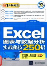 Excel图表与数据分析实战秘技250招