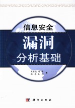 信息安全漏洞分析基础