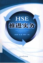 HSE推进实务