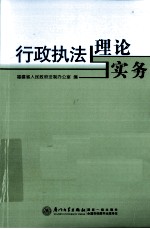 行政执法理论与实务