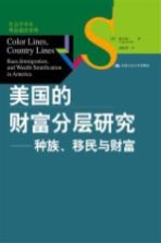 美国的财富分层研究  种族、移民与财富