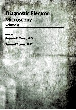 DIAGNOSTIC ELECTRON MICROSCOPY VOLUME 4