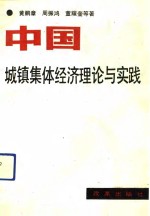 中国城镇集体经济理论与实践