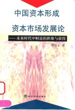 中国资本形成与资本市场发展论  未来时代中财富的积聚与获得