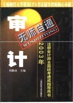 无师自通  2003年注册会计师全国统考速成指导用书  审计