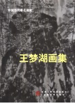 王梦湖画集