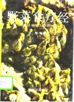 野菜食疗经