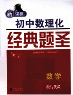 新课标初中数理化经典题圣  数学  数与代数