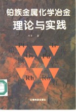 铂族金属化学冶金理论与实践