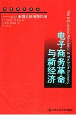 电子商务革命与新经济   com崩溃后的网络经济