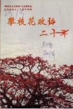 攀枝花政协二十年——《攀枝花文史资料》第十一辑