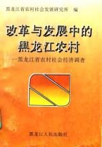 改革与发展中的黑龙江农村  黑龙江省农村社会经济调查  下