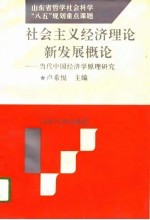 社会主义经济理论新发展概论  当代中国经济学原理研究