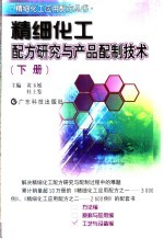 精细化工配方研究与产品配制技术  下