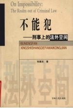 不能犯  刑事上的法外空间