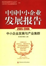 中国中小企业发展报告  2005-2006  中小企业发展与产业集群