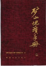 矿山地质手册  上