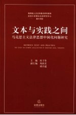 文本与实践之间  马克思主义法律思想中国化问题研究